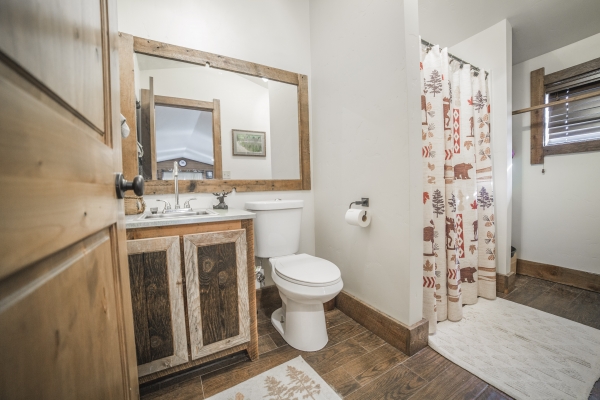 man-cave-bathroom30A7BE0D-0247-12AD-5237-E0F706F741CA.jpg